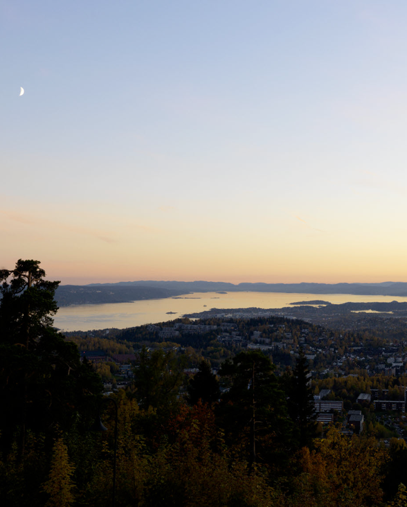 Oslo View